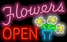 Flowers Neon Sign w/ Dasies