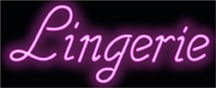Lingerie Neon Sign