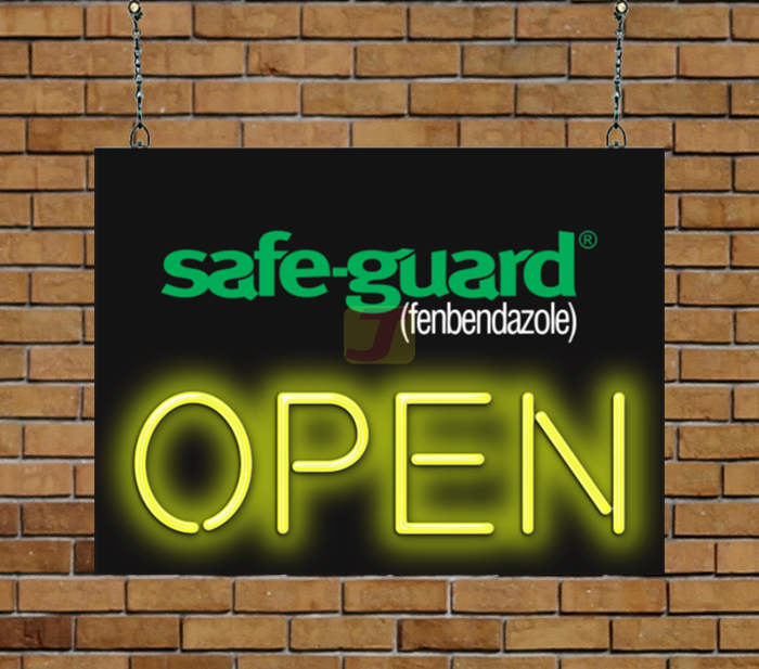 safe-guard Open Neon Sign