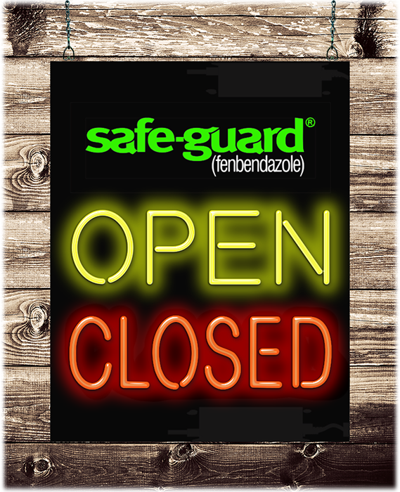 safe-guard Open Closed Neon Sign