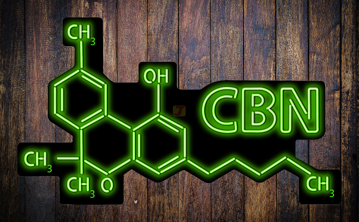 CBN Neon Sign