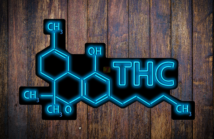 THC Neon Sign