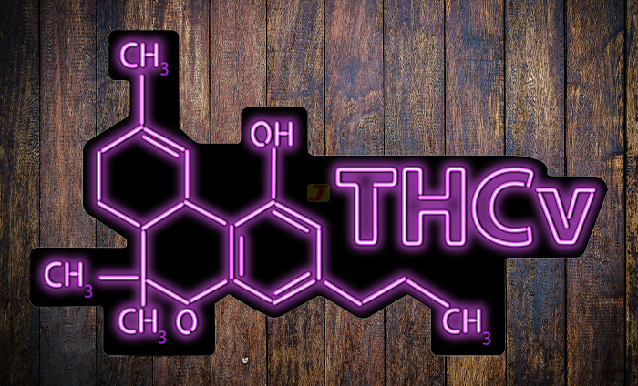 THCv Neon Sign