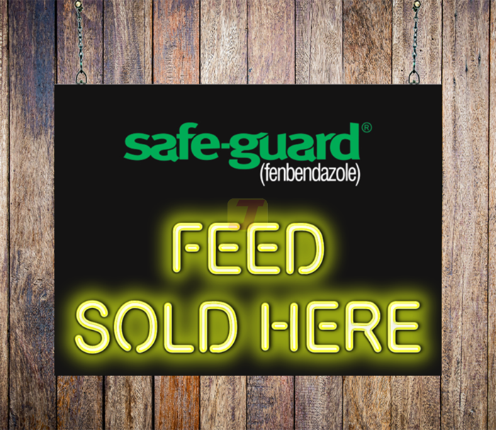 safe-guard Feed Sold Here Neon Sign