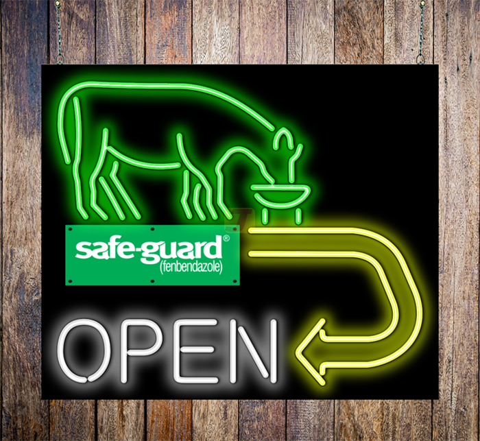 safe-guard Open with Cow Neon Sign