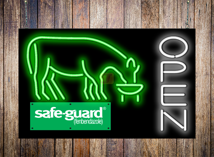 safe-guard Open with Cow Neon Sign