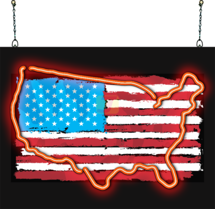 US Outline with Flag Graphic Neon Sign