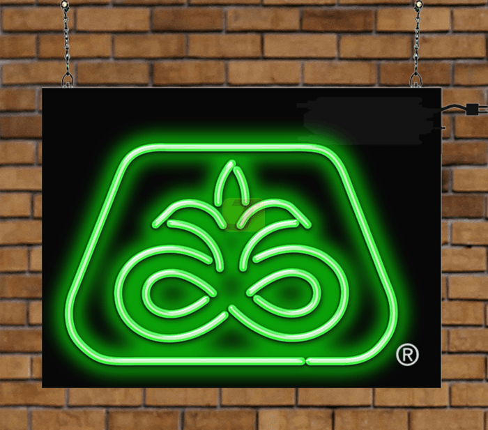Pioneer Logo Neon Sign