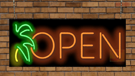 Open W/Palm Tree Neon Sign