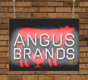 Angus Brands Neon Sign
