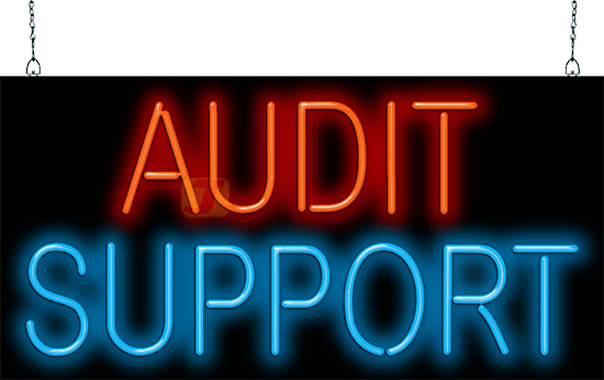Audit Support Neon Sign
