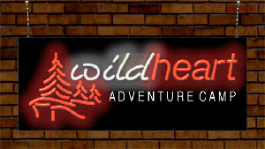 Version 1<br> Neon Landscape