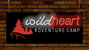 Version 2<br>Backlit Landscape